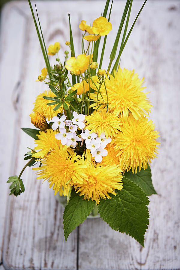Spring Posy Of Dandelions, Buttercups, Ladys Smock, Cleavers And Grasses Photograph by Brigitte Sporrer