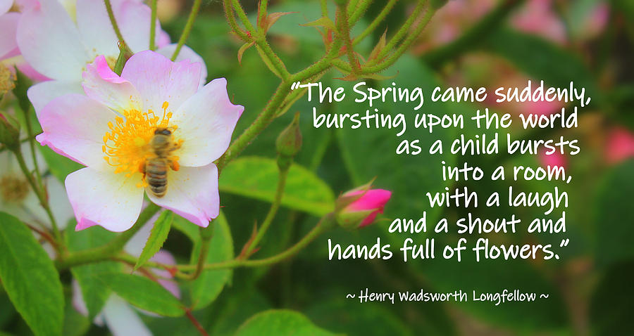 Spring Quote Photograph by Linda Vanoudenhaegen