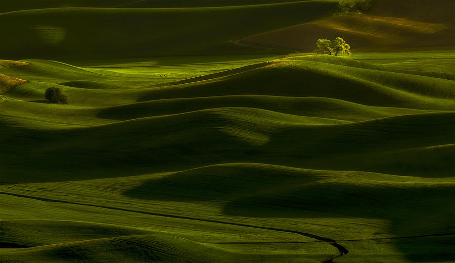 Spring Photograph - Spring Rolling Hills by Lydia Jacobs