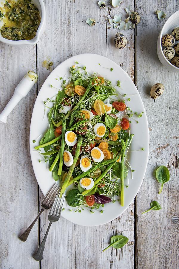 Spring Salad With Asparagus, Tomatoes, Cress, Spinach, Quails Eggs And Basil Pesto, View From Above Photograph by Magdalena Hendey