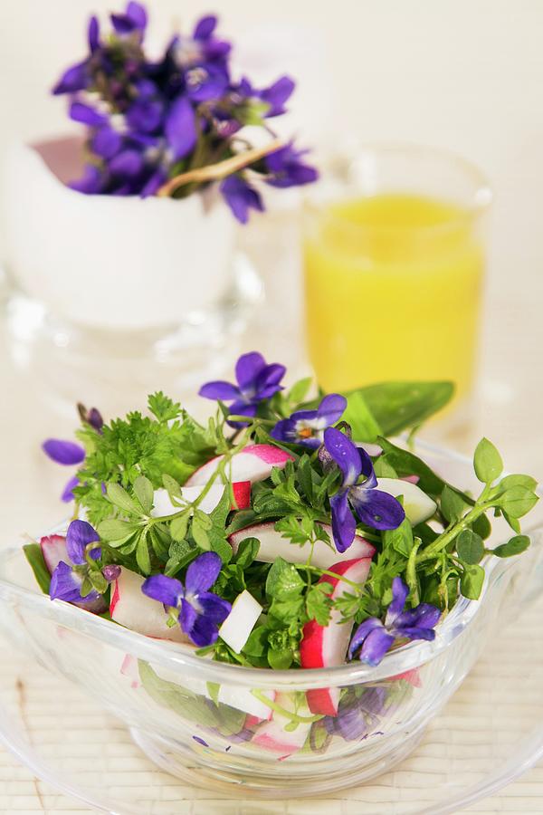 Spring Salad With Radishes And Violets Photograph by Halmos, Monika