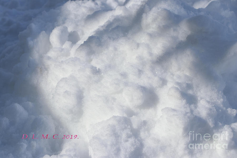 Spring Snow by Donna L Munro Spring Snow by Donna L Munro