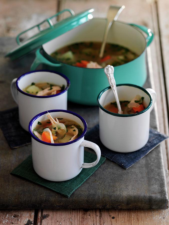 Spring Soup With Vegetables And Chicken Photograph by Gareth Morgans