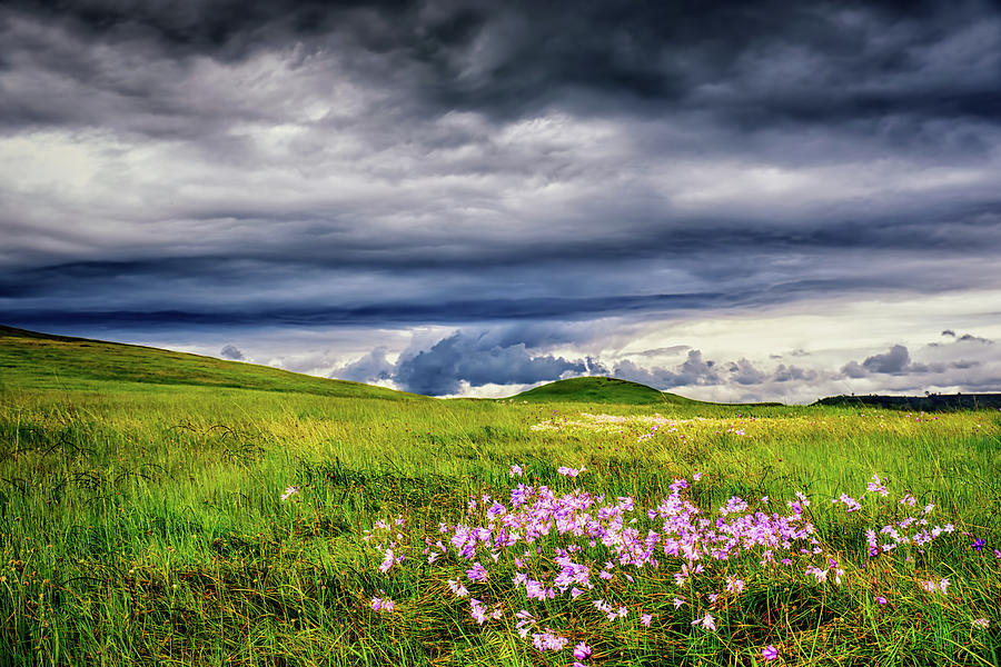 Spring Storm Over Wildflowers Photograph by Ben North - Pixels