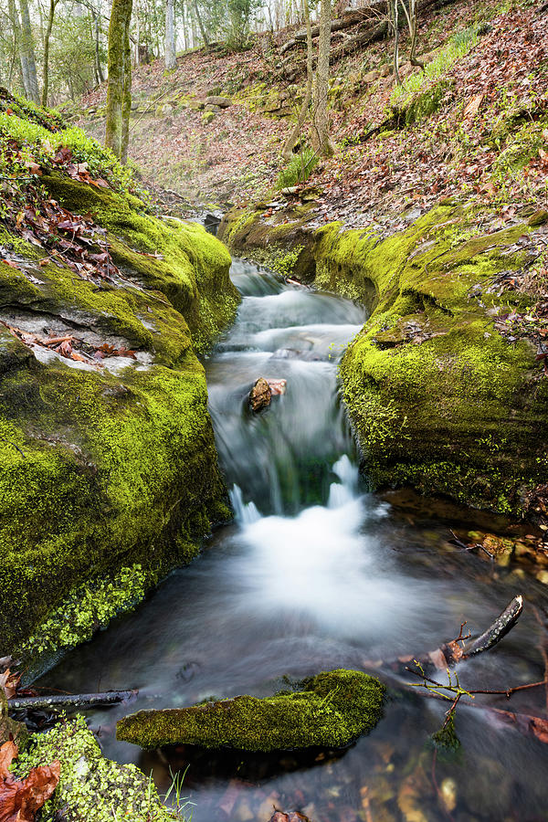 Spring Stream In The Ozarks Northwest Arkansas Photograph By Gregory