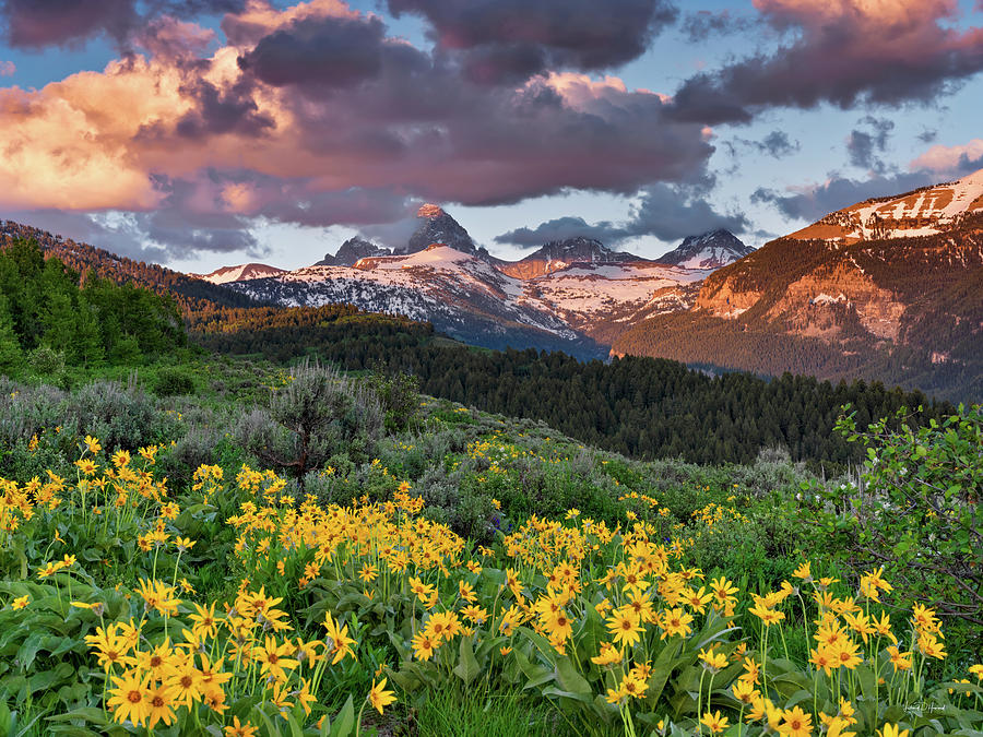 Spring sunset in the Tetons Photograph by Leland D Howard