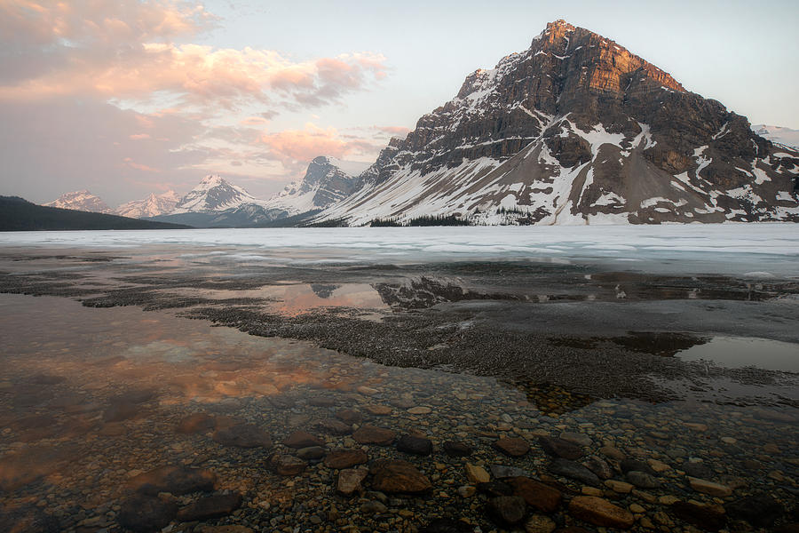 Spring Thaw at Bow Lake Photograph by Matt Hammerstein