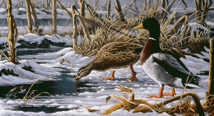 Bird Painting - Spring Thaw - Mallards by Wilhelm Goebel