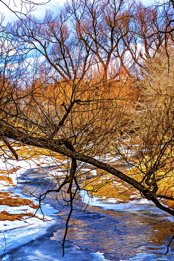 Spring Thaw - Paint Photograph