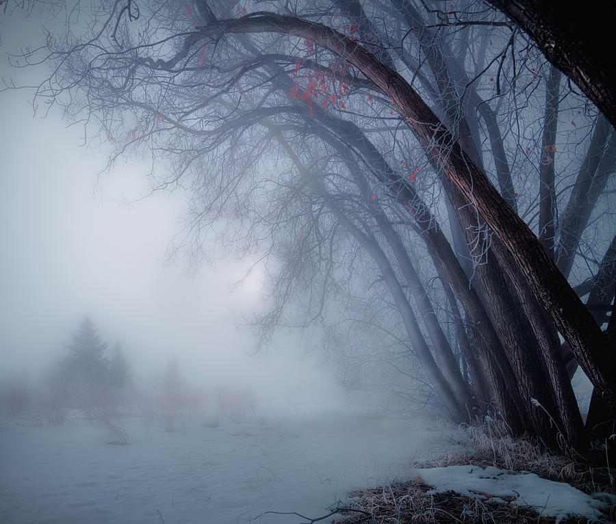 Spring Time Foggy Morning by Dan Jurak Spring Time Foggy Morning by Dan Jurak