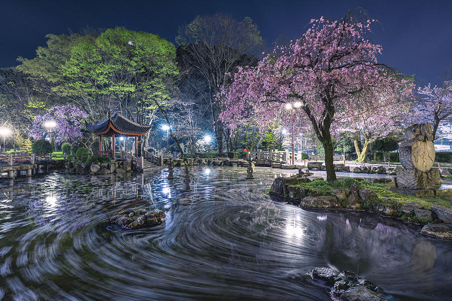 Spring Vortex Photograph by Takeshi Mitamura
