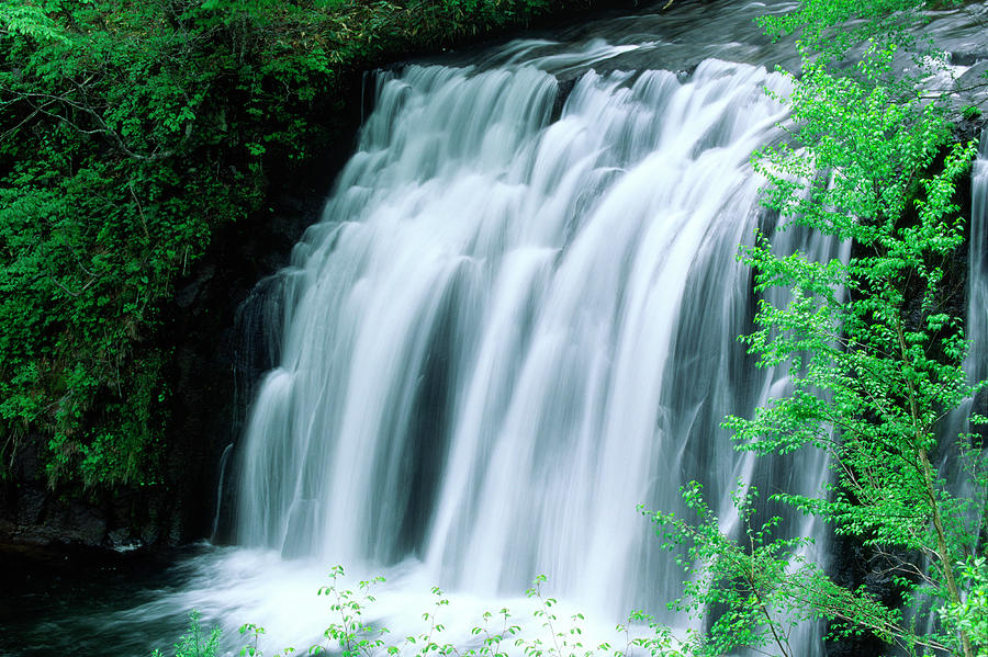 Spring Waterfall Photograph by Ooyoo