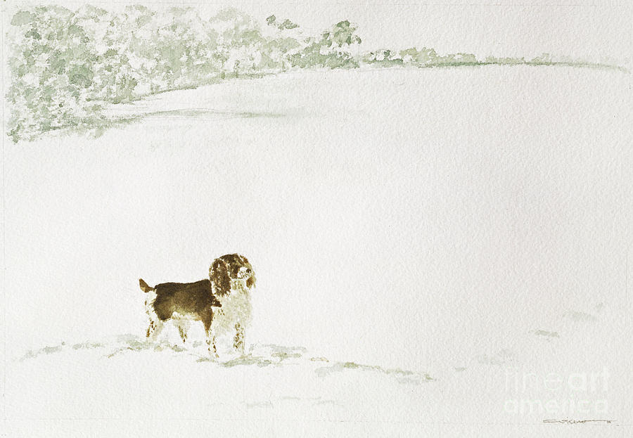 Springer Spaniel In The Snow Painting by Suzi Kennett