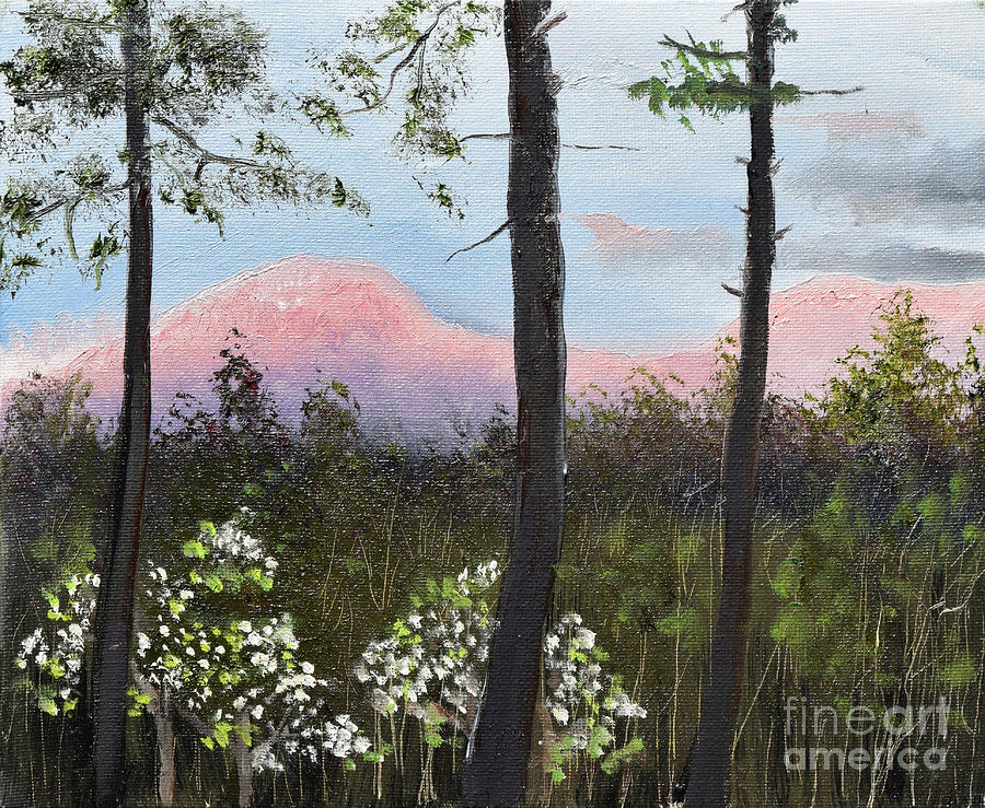 Springtime at Pink Knob in Ellijay Painting by Jan Dappen