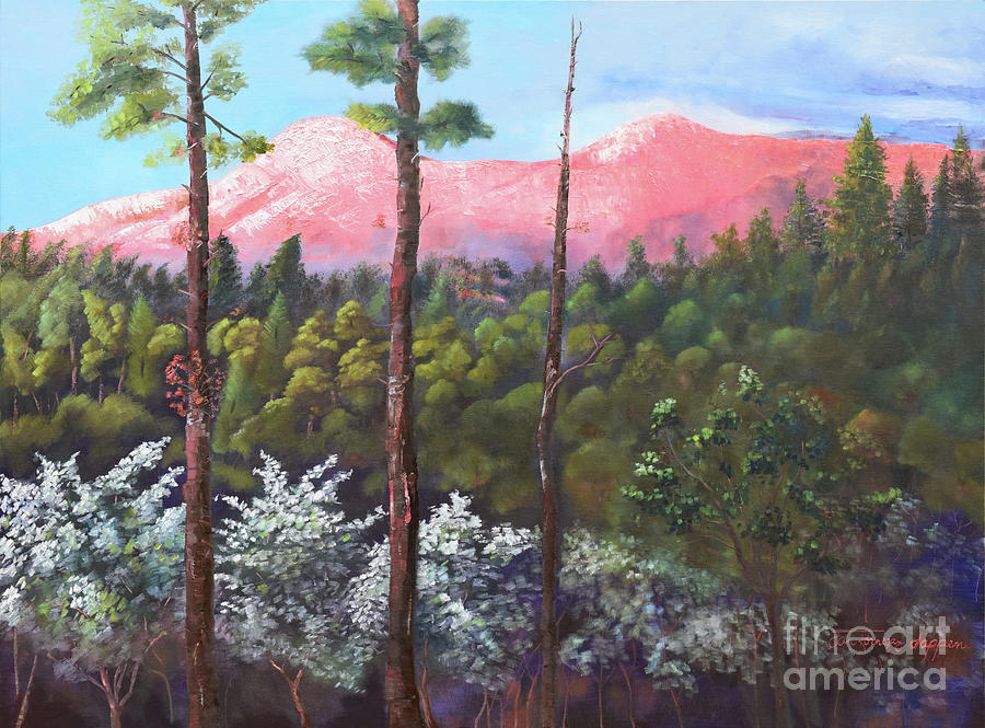 Mountain Painting - Springtime at Pink Knob - Large Canvas - Ellijay by Jan Dappen