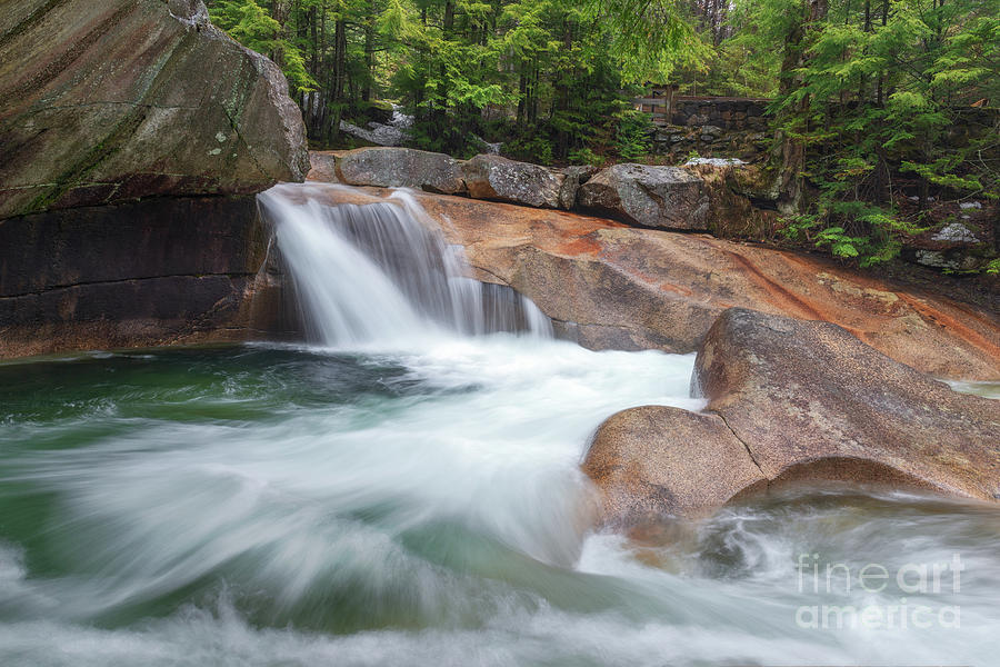 Springtime at The Basin by Sharon Seaward Springtime at The Basin by Sharon Seaward