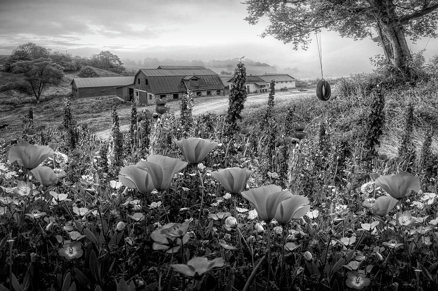 Springtime at the Farm in Black and White Photograph by Debra and Dave Vanderlaan