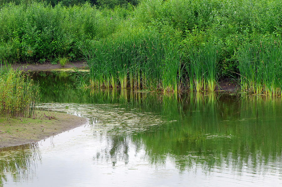 Springtime at the Lagoons by Sharon Talson Springtime at the Lagoons by Sharon Talson