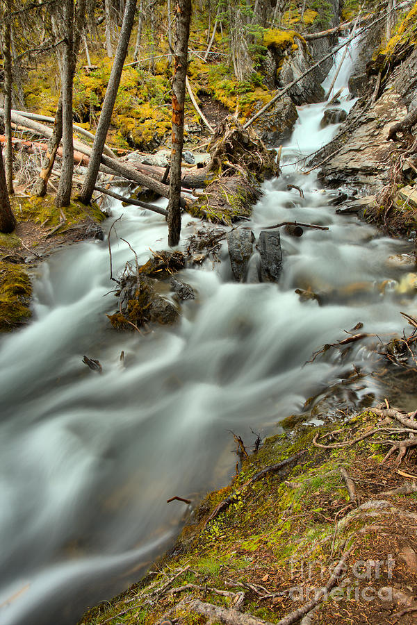 Springtime At Upper Sarrail Falls Photograph by Adam Jewell