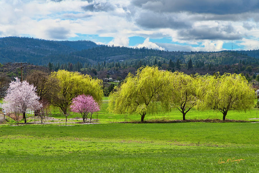 Springtime Photograph by Dan McGeorge