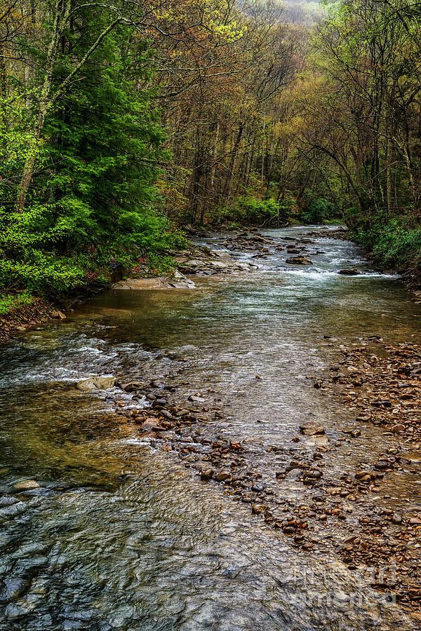 Springtime Gauley River Headwaters Photograph by Thomas R Fletcher