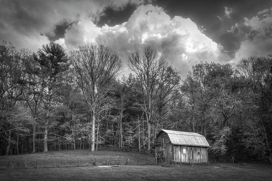 Springtime in Black and White Photograph by Debra and Dave Vanderlaan