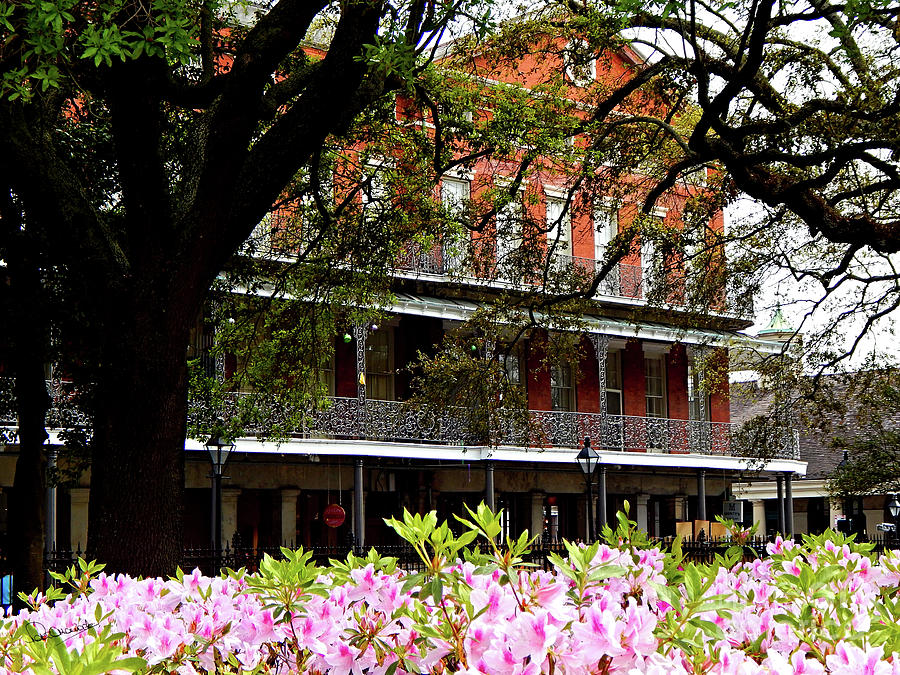 Springtime in New Orleans Photograph by Peter Horrocks Fine Art America