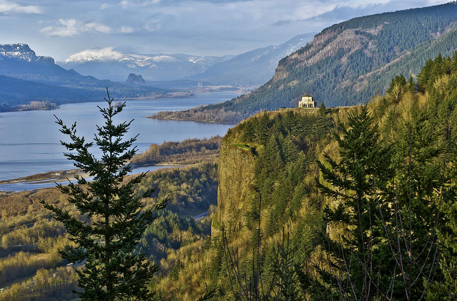 Springtime In The Columbia River Gorge Photograph by Nwbob