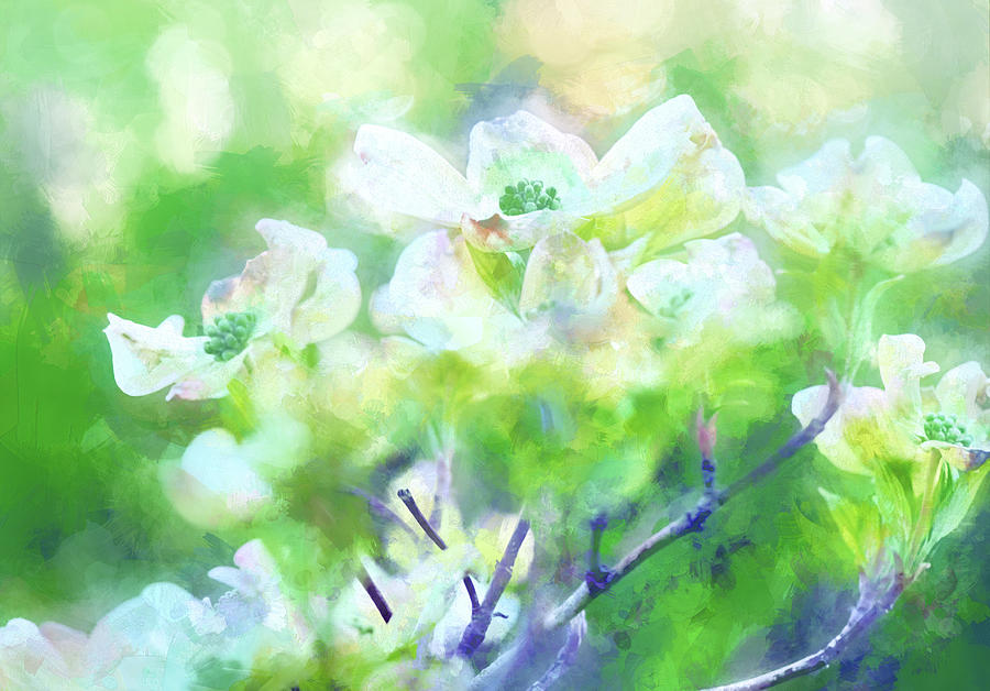 Flower Digital Art - Springtime in Upstate NY 11 by Tina Baxter