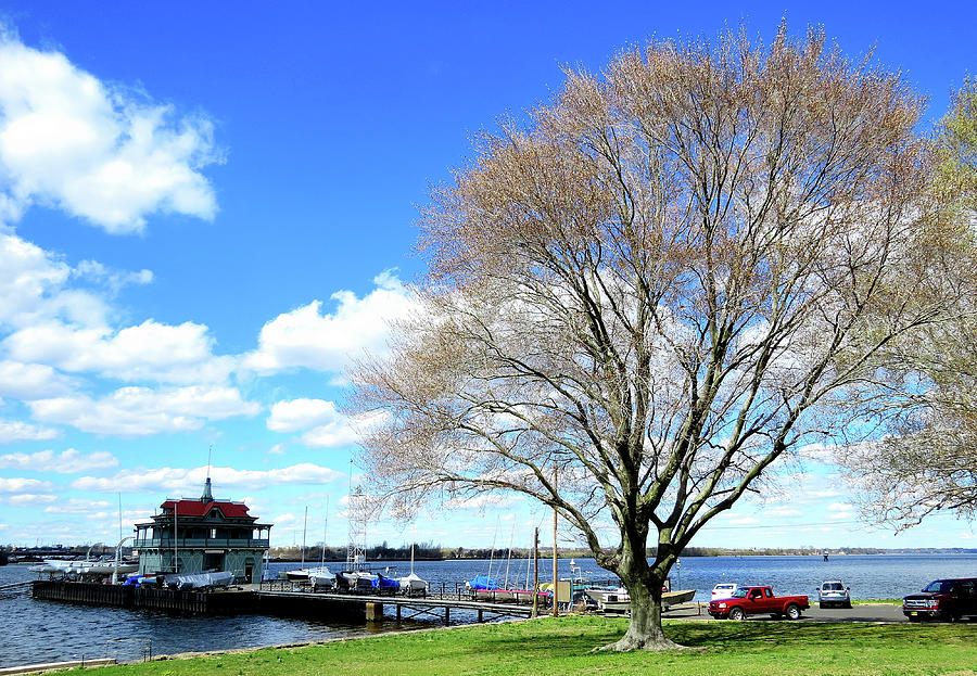 Springtime on the Delaware Photograph by Linda Stern