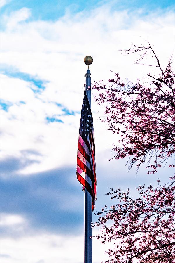 Springtime Patriotism Photograph by Mary Ann Artz