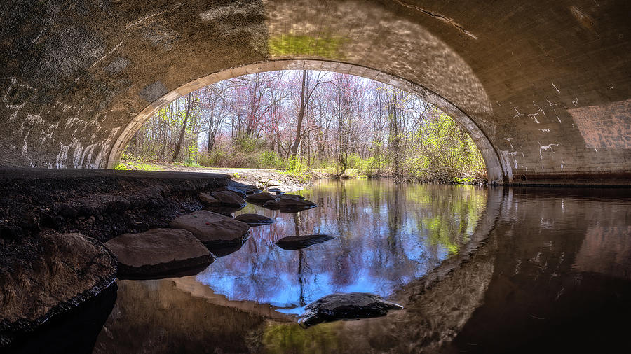 Springtime Tunnel Vision Photograph by John Randazzo