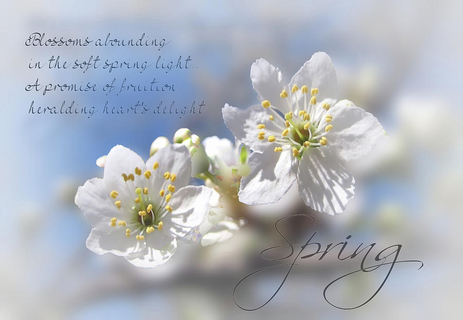 Springtime by Valerie Anne Kelly Springtime by Valerie Anne Kelly
