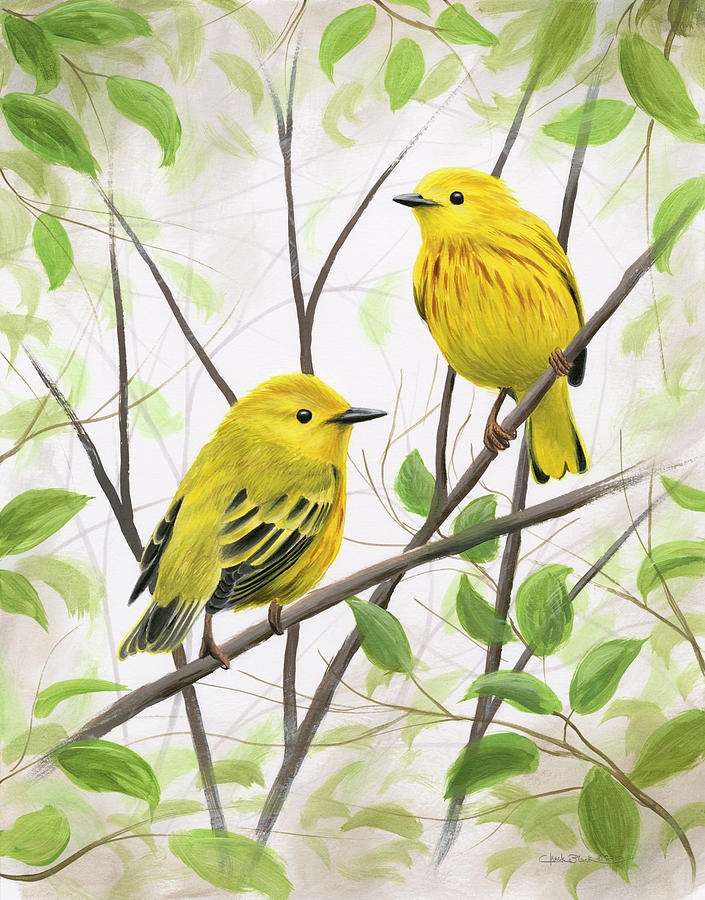 Animal Painting - Springtime Warblers by Chuck Black