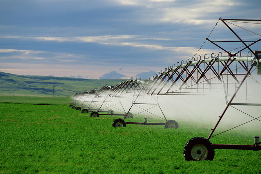 Sprinklers Watering Field Photograph by Comstock Images