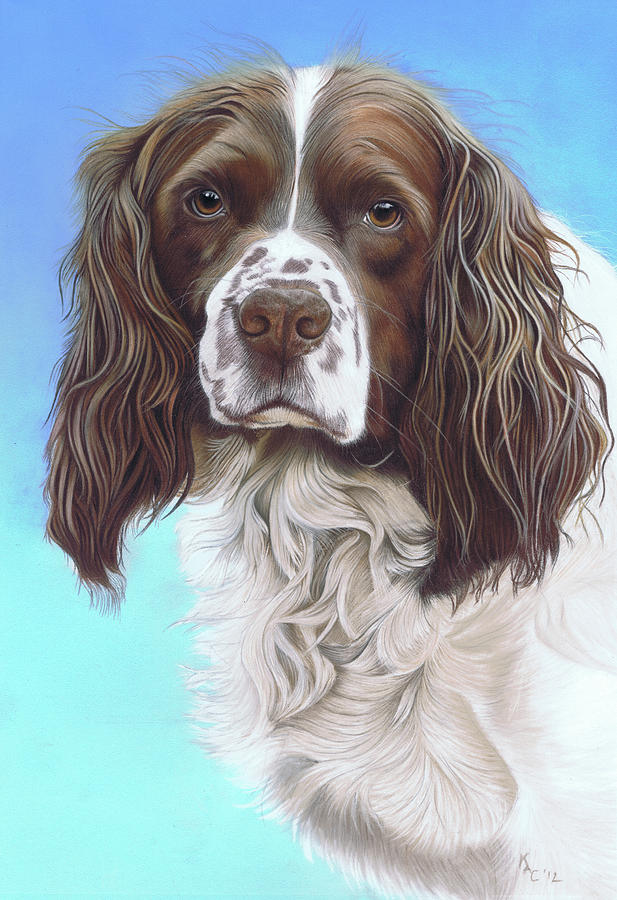 Dog Painting - Sprinter Spaniel Zac by Karie-ann Cooper