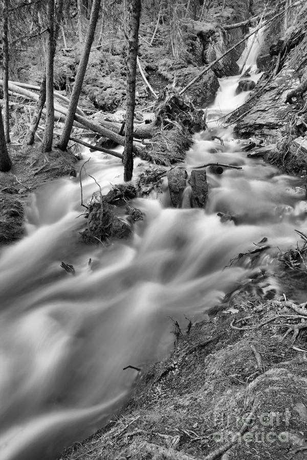 Sprinttime At Upper Sarrail Falls Black And White Photograph by Adam Jewell
