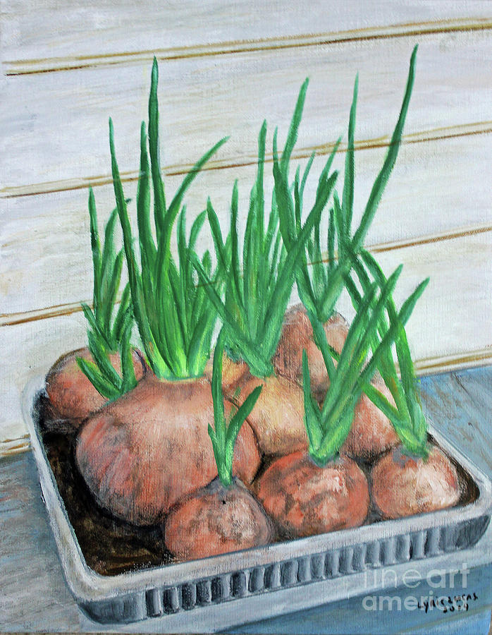 Sprouted Onions Painting by Lyric Lucas
