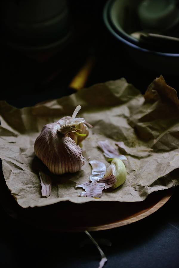 Sprouting Garlic On Paper Photograph by Yijun Chen