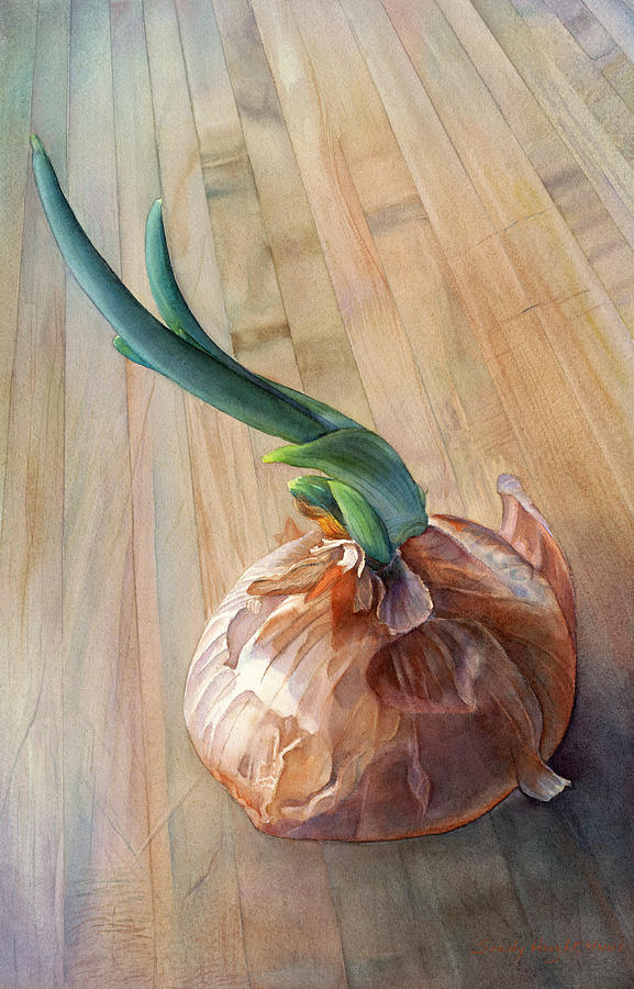 Sprouting Onion Painting by Sandy Haight