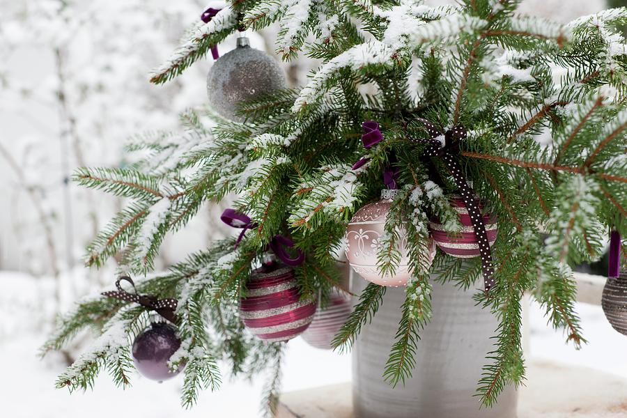 Spruce Branches In Old Clay Pot Festively Decorated With Baubles And Ribbons Photograph by Sabine Lscher