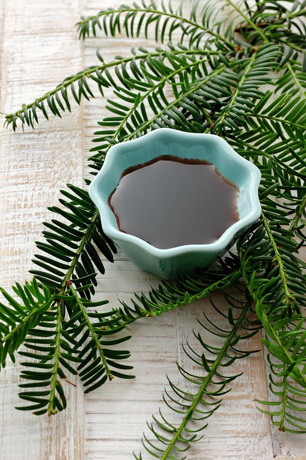 Spruce Tip Syrup In A Small Bowl Photograph by Petr Gross