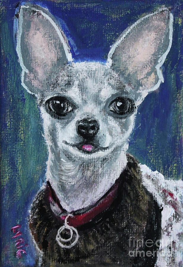Spunky Chihuahua Painting by Lyric Lucas