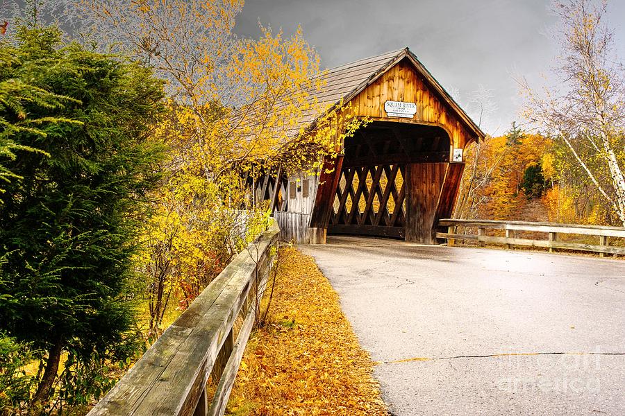 Squam Covered Bridge Photograph by Steve Brown - Pixels