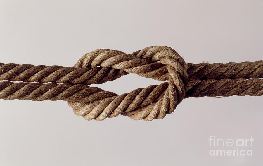 Square Knot Photograph by Rosenfeld Images Ltd/science Photo Library