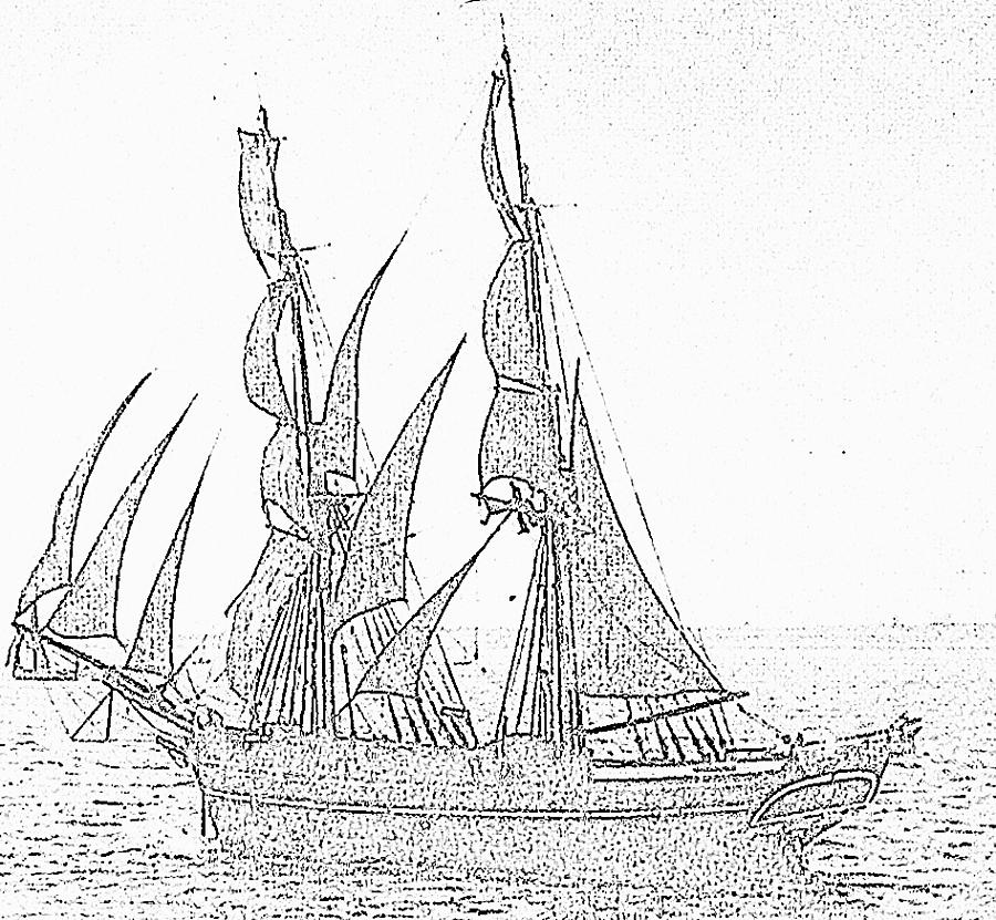 Square Rigger Drawing by Mackenzie Moulton
