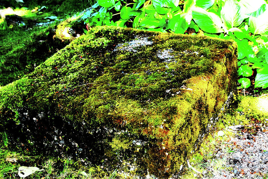 Square Root by Simone Hester Square Root by Simone Hester