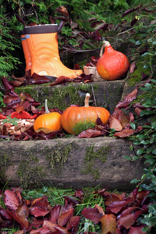 Squash, Wellington Boots And Leaves On Some Steps Photograph by Atelier Hmmerle