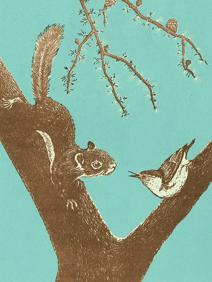 Nature Drawing - Squirrel and Bird in Tree by CSA Images