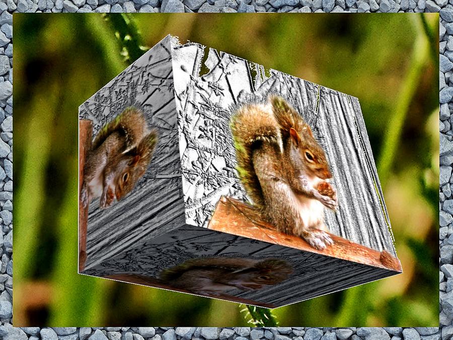 Squirrel as a box Digital Art by Karl Rose
